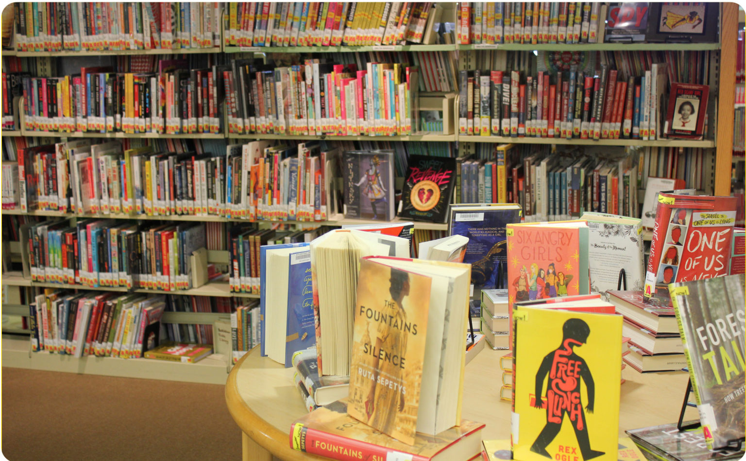 Borrow Bethlehem Public Library